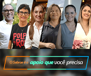SEBRAE 2