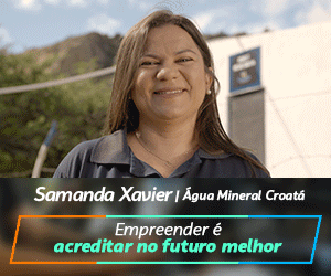 SEBRAE 2