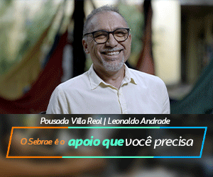 SEBRAE 2