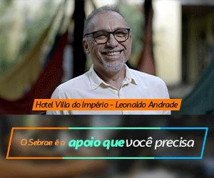 SEBRAE 2