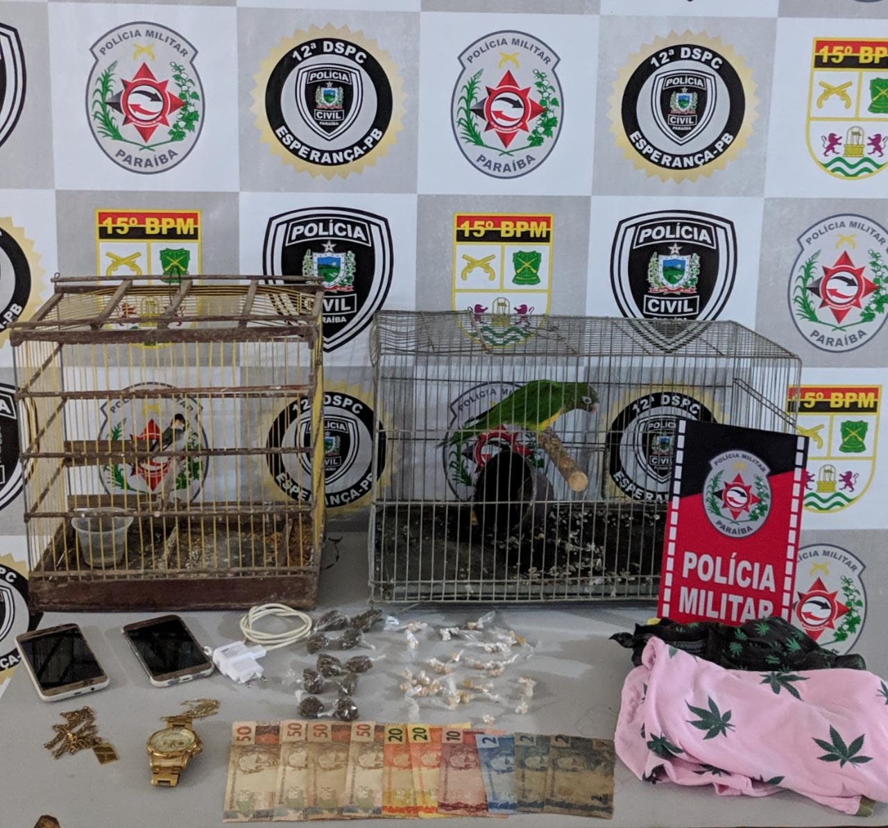 Polícia prende suspeito de estuprar jovem na frente dos pais dela nas proximidades de CG