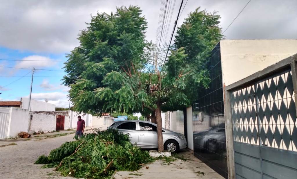 Cidadão se revolta ao chegar em sua residência e encontrar poda drástica em árvore por parte da Energisa, em Patos