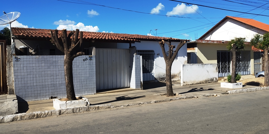 Crimes de podas drásticas em árvores em vias públicas se multiplicam na cidade de Patos