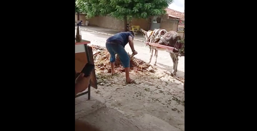 Moradores pagam para entulho ser recolhido na rua Jarbas Moura em Patos. Veja