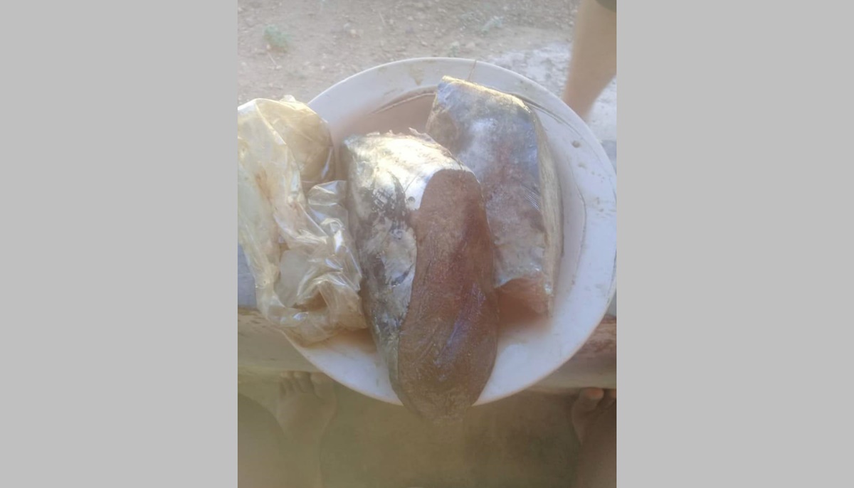 Moradores de A. de Baraúnas reclamam da qualidade dos peixes distribuídos. Prefeitura diz que falha foi da Cooperativa e que vai redistribuir os alimentos