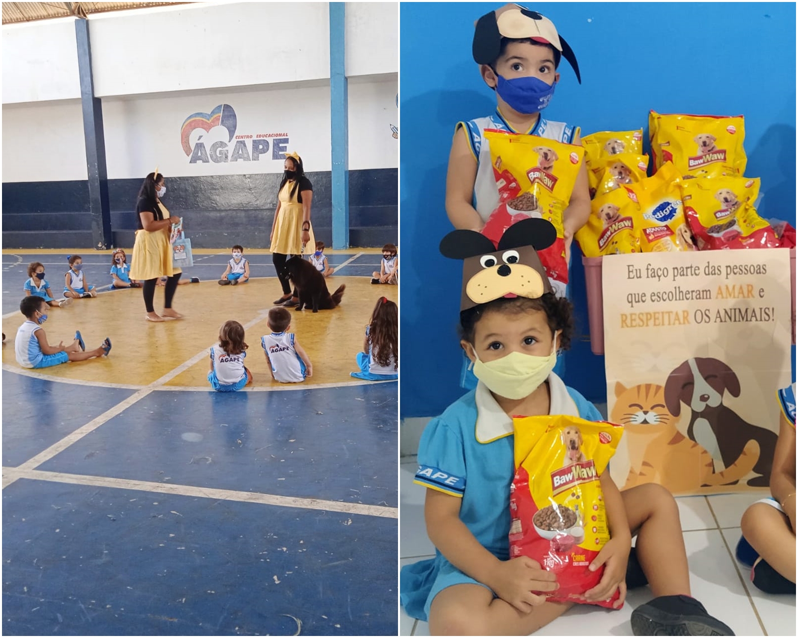 Estudantes realizam arrecadação de ração para animais do Adota Patos