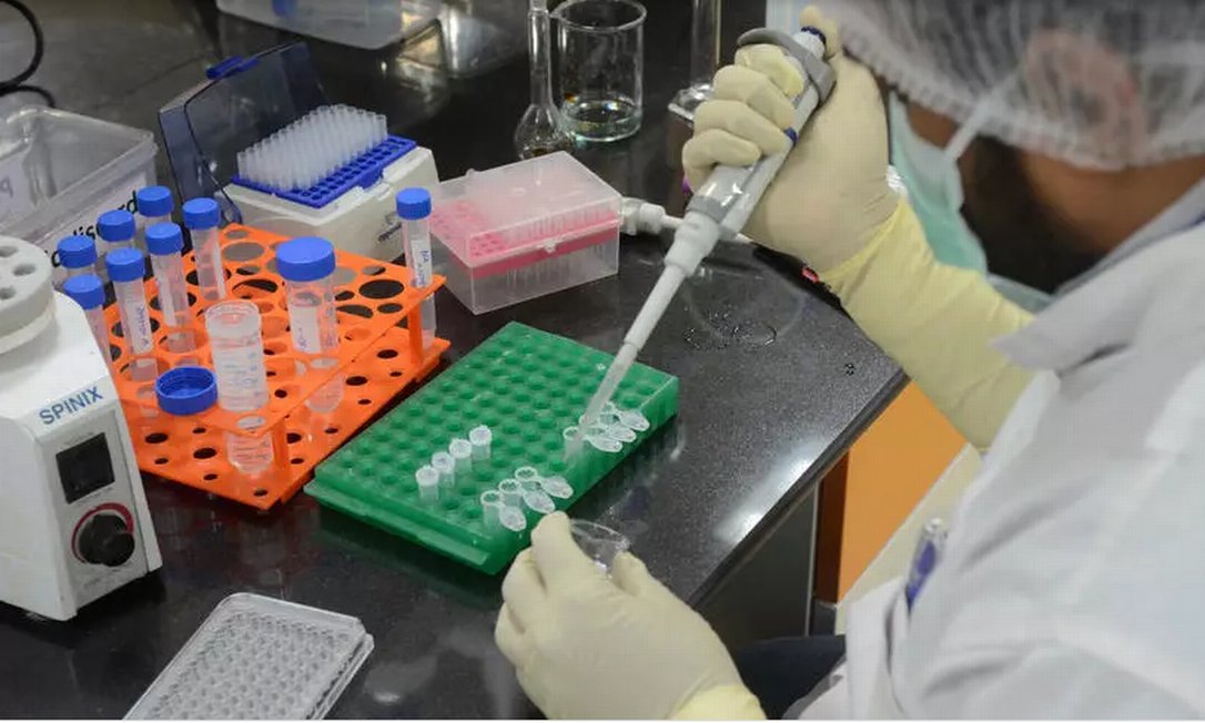 Covid-19: estudo diz que infectados podem gerar anticorpos permanentes