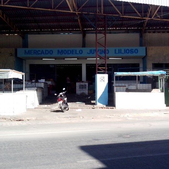 Comerciante diz que animais não estão sendo maltratados por trabalhadores do Juvino Lilioso