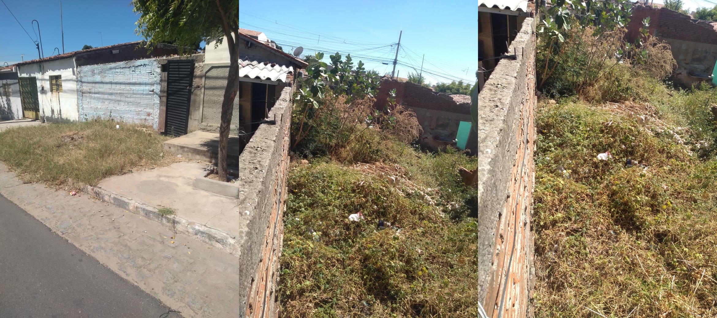 Morador diz que terreno abandonado está causando problemas: “Aí tem escorpião, cobra, ratos”, denunciou