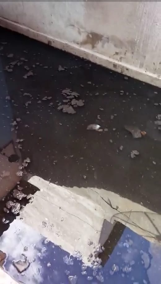 Em vídeo, moradora da Vila Teimosa relata que galeria está dando retorno para residências em partes baixas