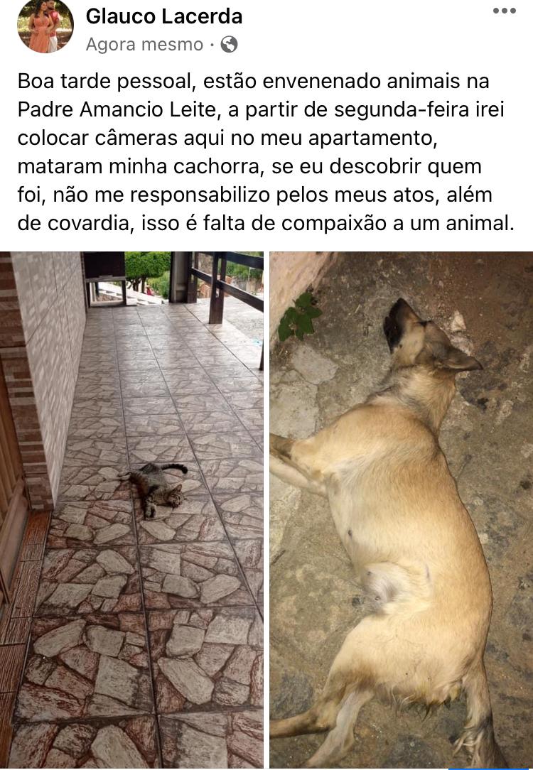População de Condado denuncia matança criminosa de cães e gatos. Veja