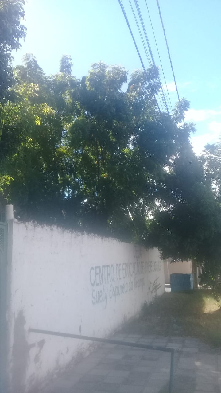 Moradores do Santo Antônio reclamam que árvores da escola Alexandrino Rodrigues estão batendo na fiação elétrica. 6ª Gerência se posiciona