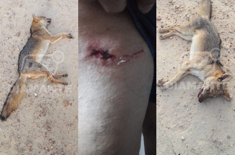 Aposentada mata raposa estrangulada ao sofrer ataque quando fazia caminhada, em Igaracy