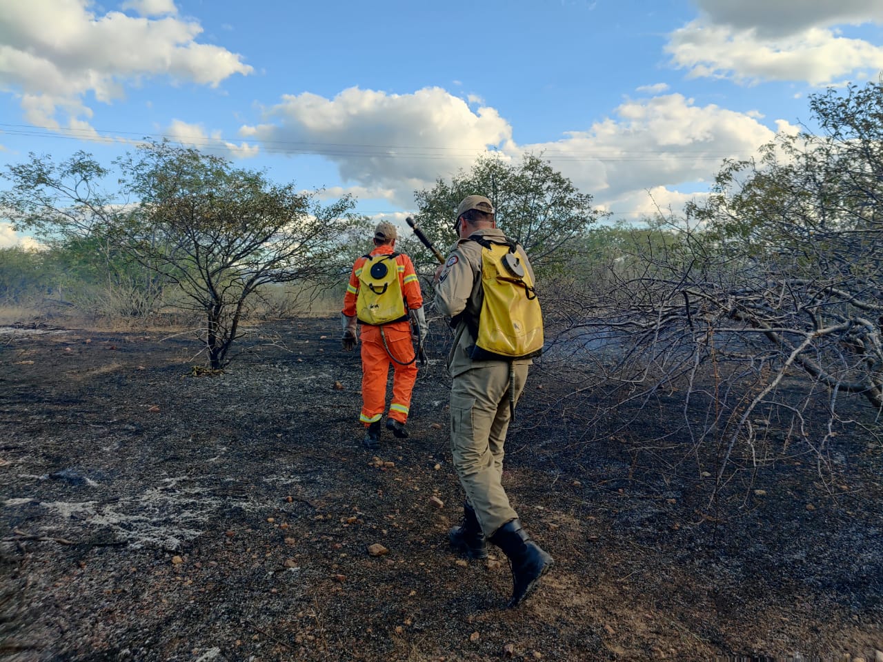 Bombeiros combatem fogo na vegetação na tarde desta terça-feira (20) entre Patos e Santa Terezinha-PB. Ação pode ter sido criminosa