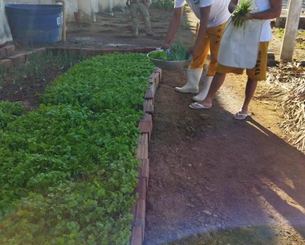Projeto de ressocialização no Presídio de Patos já começa a dar resultados