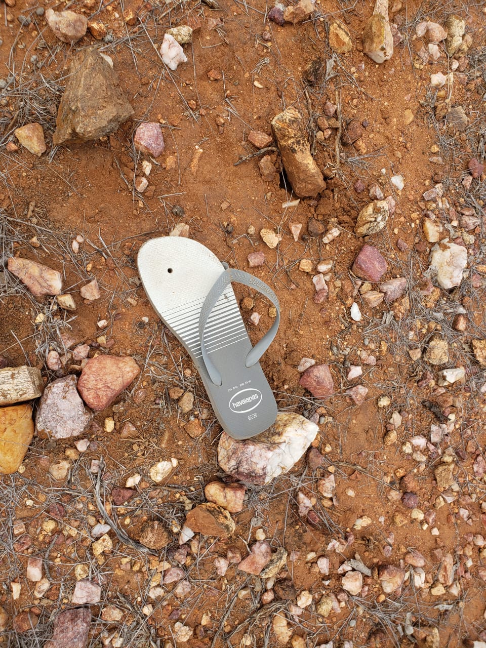 Homem que tentou matar ex-namorada a pedradas é preso pela Polícia Civil