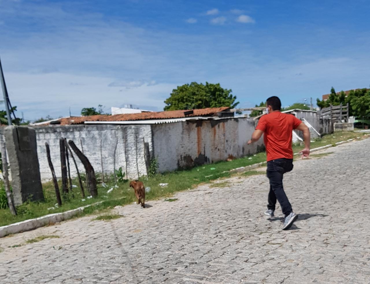 Mesmo sem empenho por parte da Secretaria de Saúde, Vereador Sargento Patrian segue firme na luta e na defesa dos animais de ruas na cidade de Patos