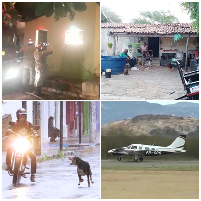 Ataques de abelhas na zona urbana e explosão de fábrica de fogos marcam a semana em Patos. Veja o vídeo