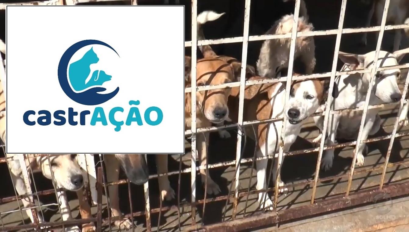 Prefeitura de Patos afirma que segue dando suporte ao programa de castração e controle dos animais de rua
