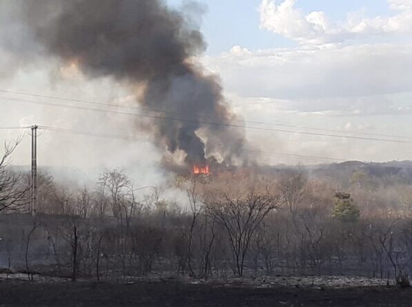 Incêndio devasta mata e leva perigo aos moradores no Vale do Piancó