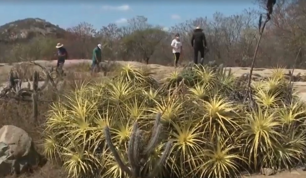 Sítio arqueológico é descoberto no Sertão