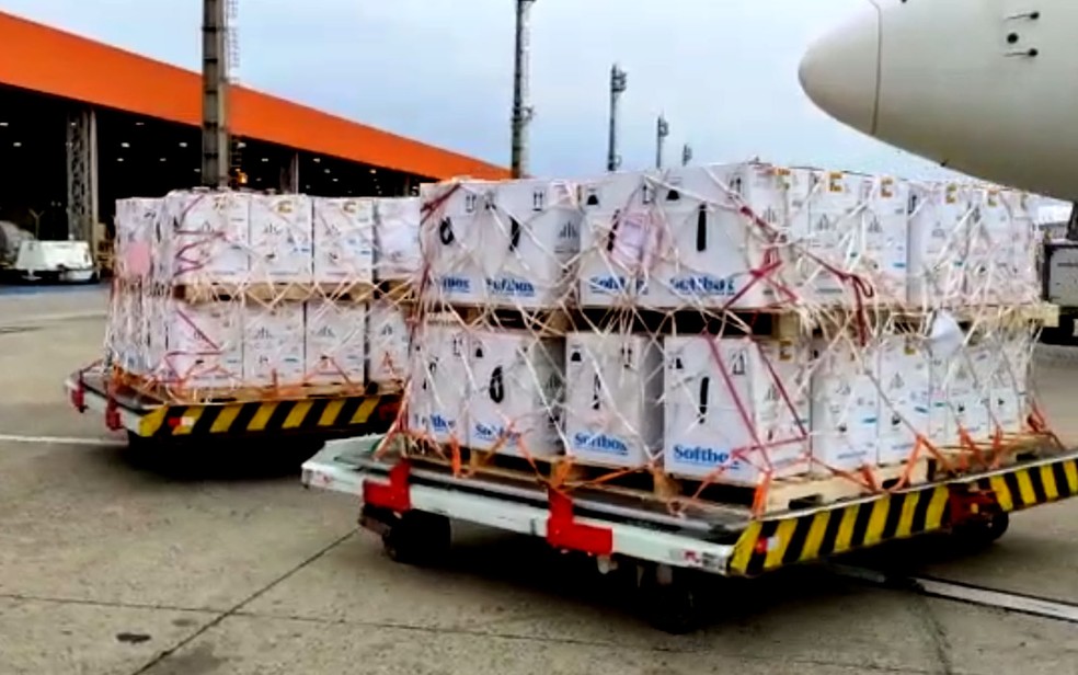 Pfizer entrega mais 2,1 milhões de doses da vacina neste domingo (29) e completa remessa de 5,3 milhões anunciadas para esta semana