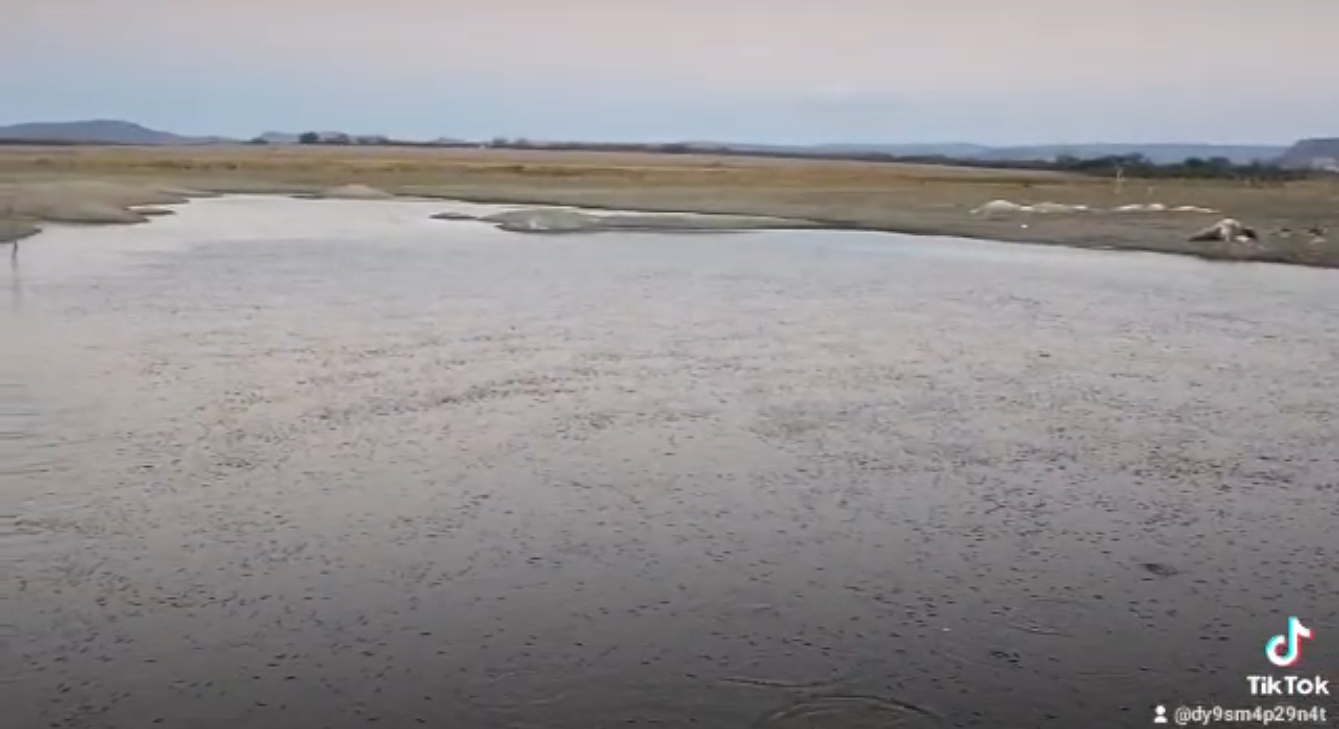 Homem divulga vídeo para mostrar situação deplorável do açude que antes abastecia município de São Mamede