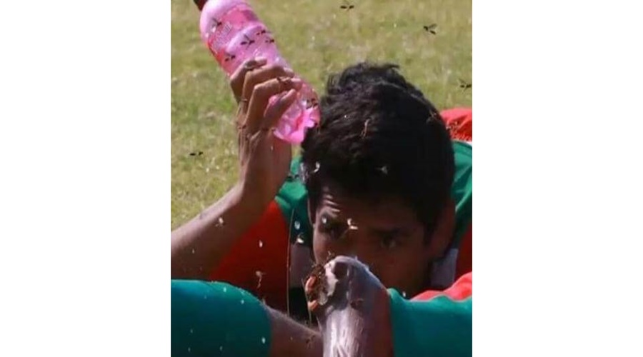 Abelhas invadem campo e atacam jogadores; Jogo é paralisado por 20 minutos