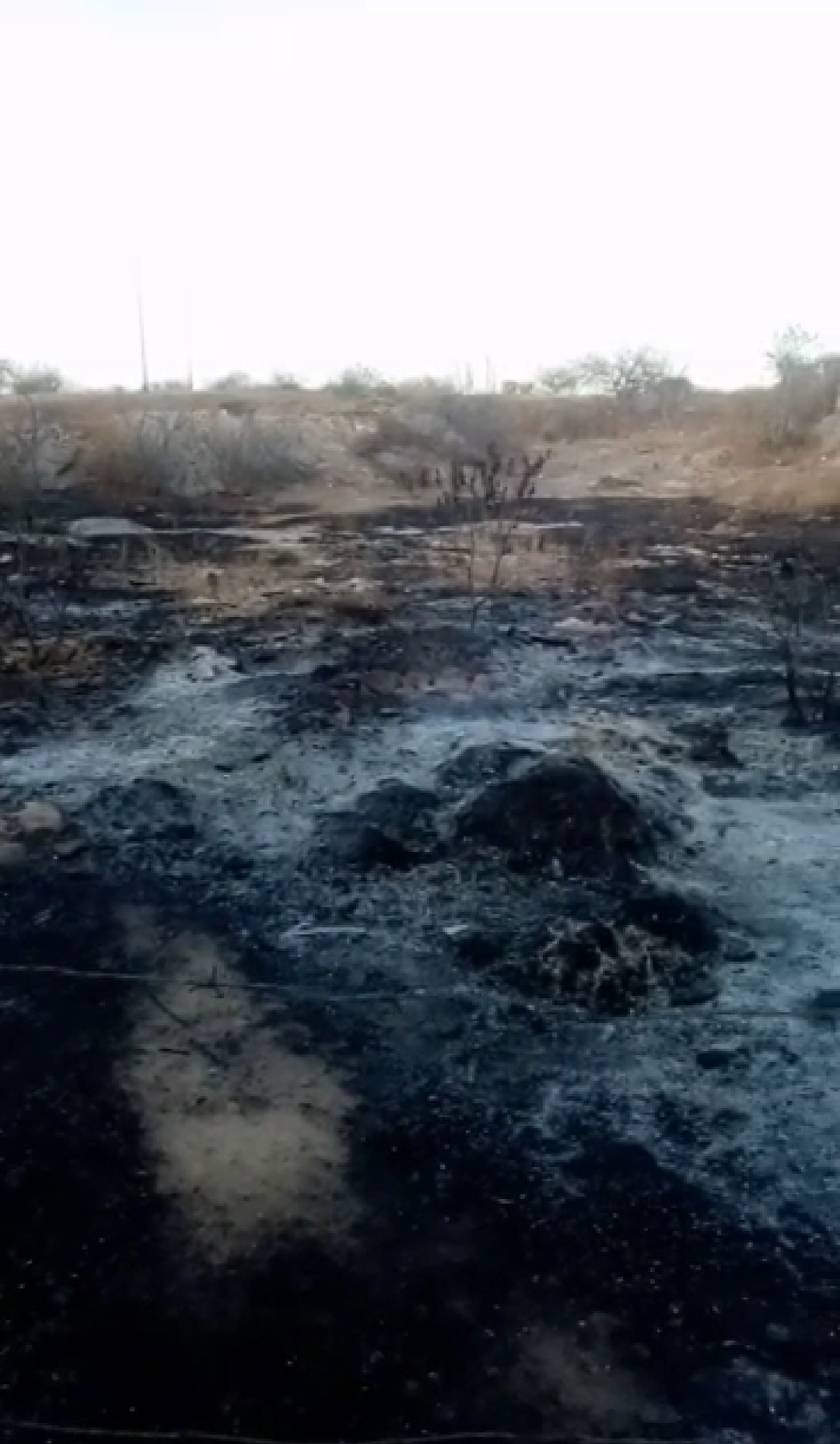 Morador do Bivar Olinto denuncia incêndio em terreno da prefeitura de Patos e pede providências; secretários respondem