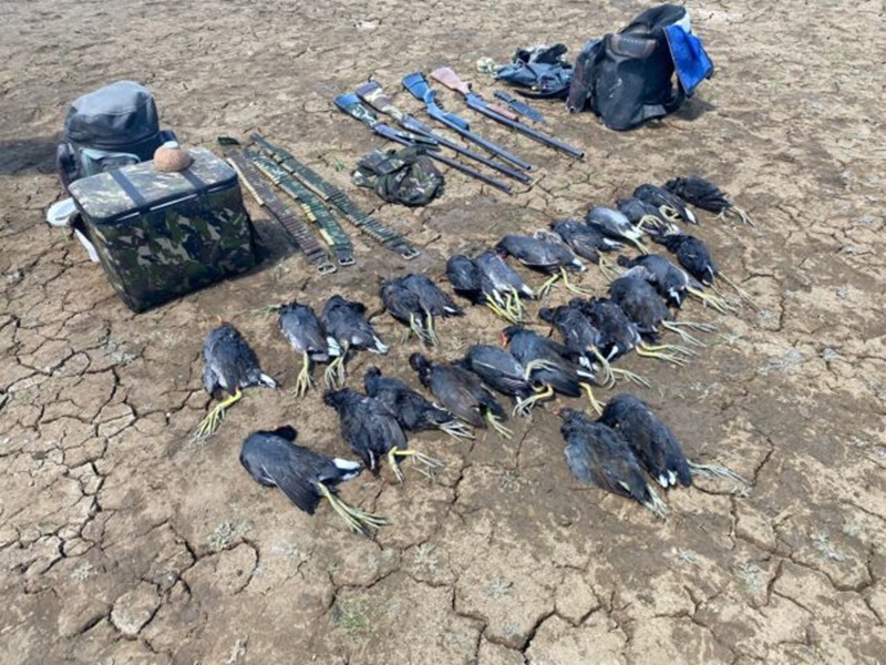 PM apreende 4 armas de fogo e 26 animais abatidos em Patos