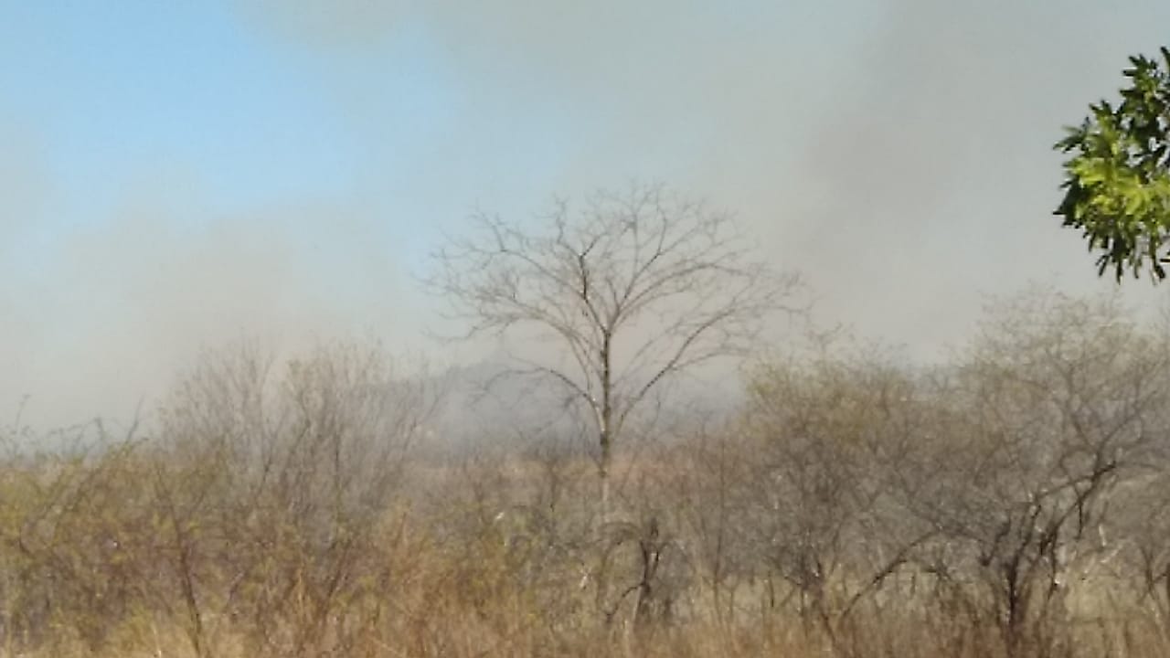Fogo em vegetação na Zona Rural de São José de Espinharas. Bombeiros já estão no local