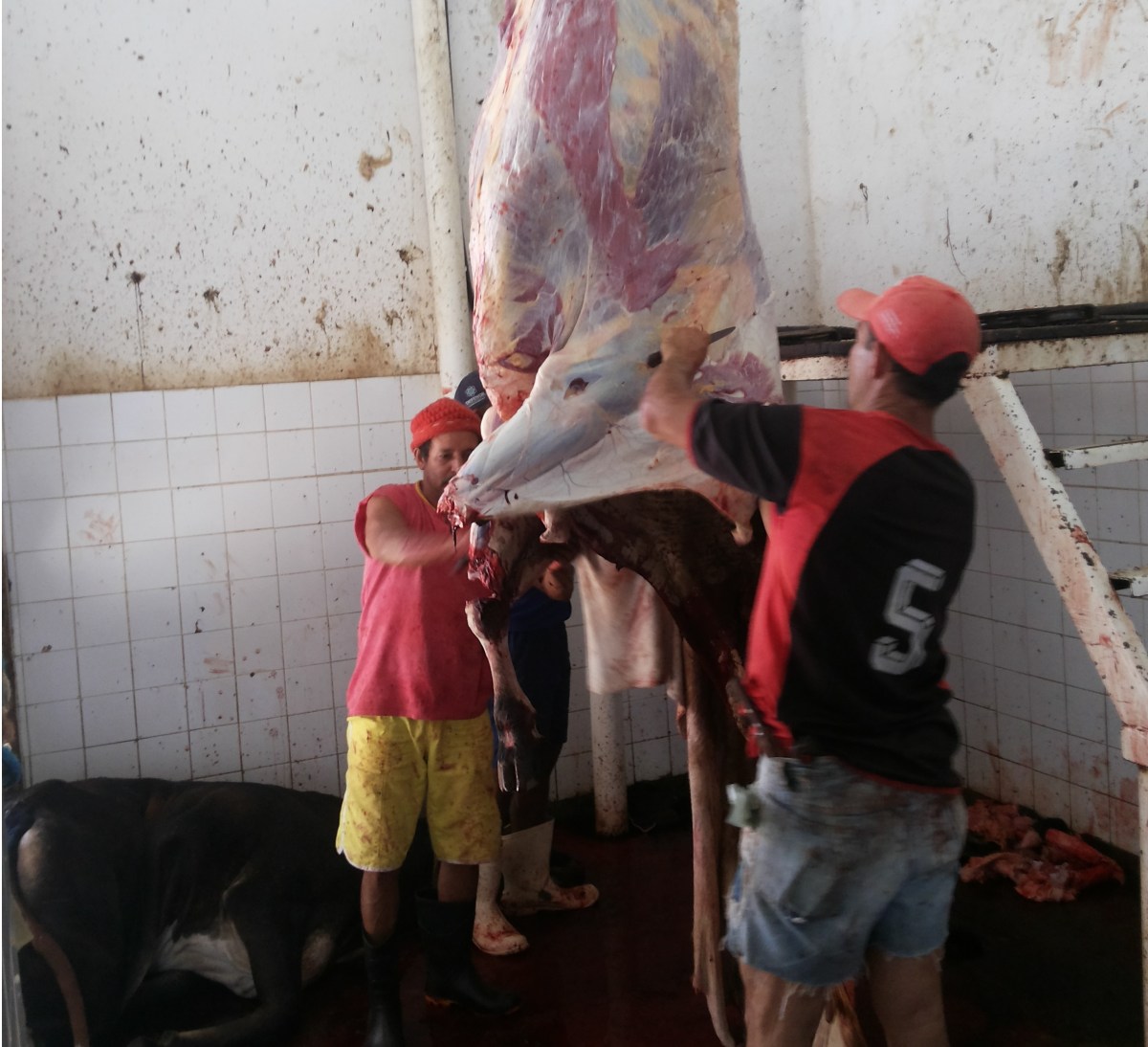 Comerciante reclama que funcionários do matadouro de Patos se recusam a trabalhar na véspera do feriado. Ouça;