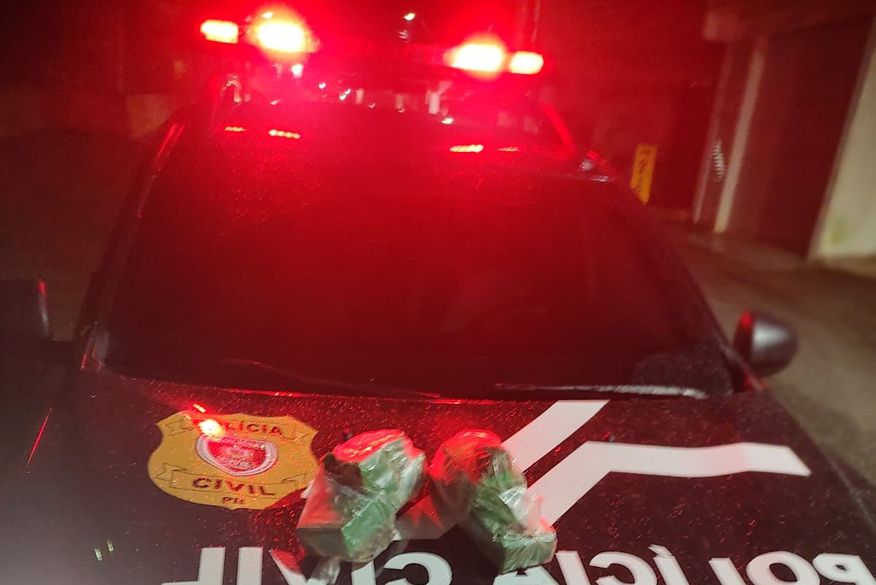 Polícia Civil apreende maconha e prende dois suspeitos de tráfico em Areia-PB