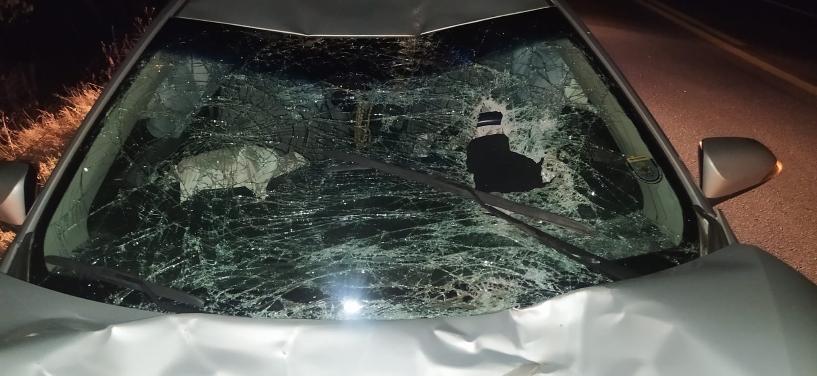 Animal na pista provoca acidente envolvendo veículo de psicóloga patoense e esposo. Veja as imagens