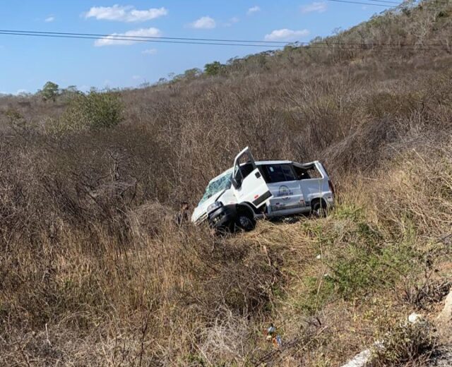 Animal na pista provoca acidente entre Maturéia e Imaculada