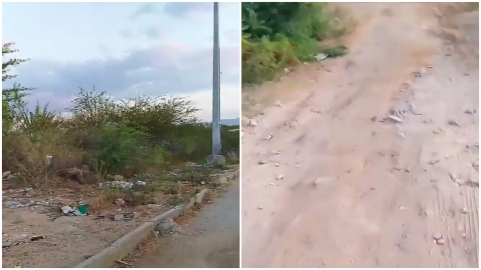 Morador denuncia rua esburacada e matagal no Bairro da Maternidade, em Patos, e cobra providências da prefeitura