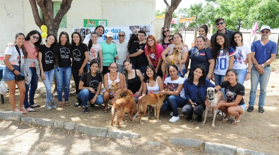 Sem apoio da iniciativa pública, ONG Adota Patos convoca reunião para recrutar voluntários e debater ações