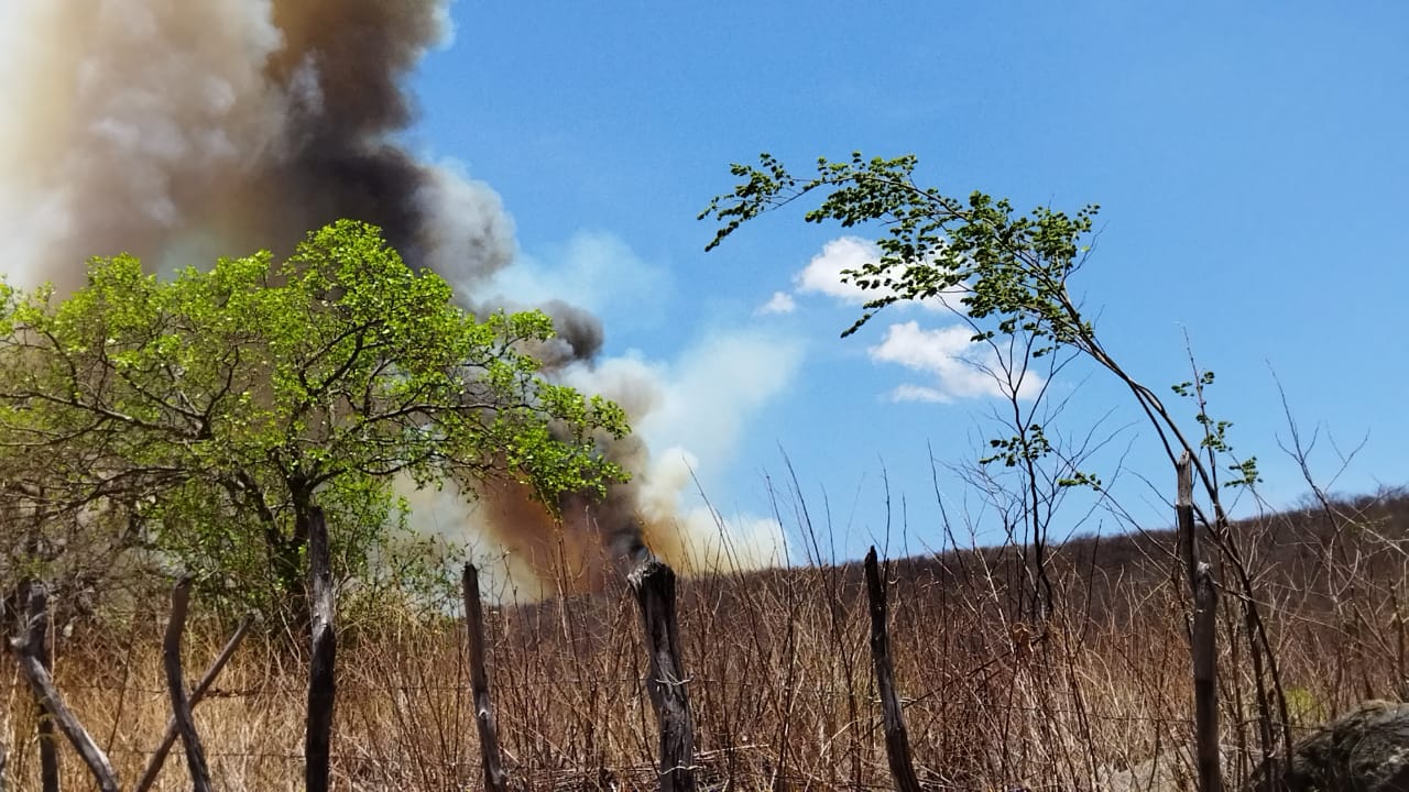 Major Galvão diz que operação de combate a focos de incêndio em vegetação deverá durar por mais alguns dias