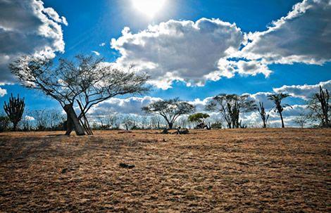 Governo Federal reconhece situação de emergência em 150 municípios da Paraíba devido à estiagem; Patos e outras cidades da região estão na lista. Veja