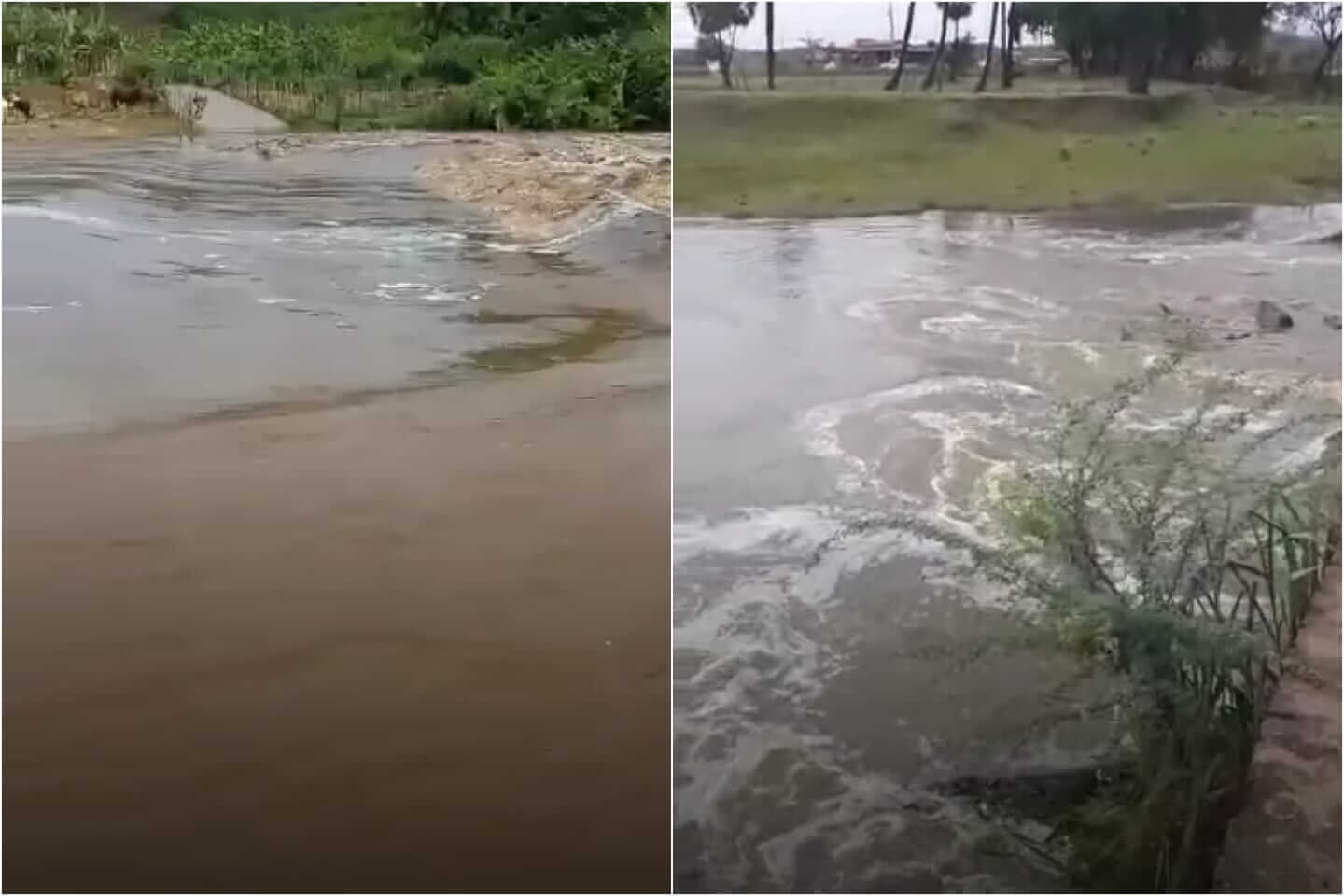 Chove bem na noite desta quinta-feira (30) no Vale do Piancó e Rios Piancó e Aguiar registram cheias. Vídeo