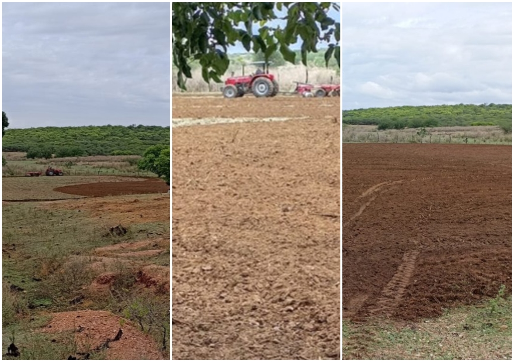 Corte de Terras: Há duas semanas tratores da prefeitura atuam na Zona Rural de Cacimba de Areia-PB