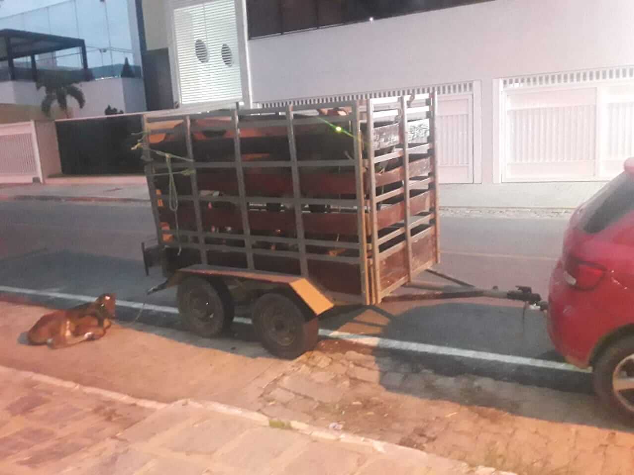 Homens são presos suspeitos de praticarem furto de gado na região de Patos