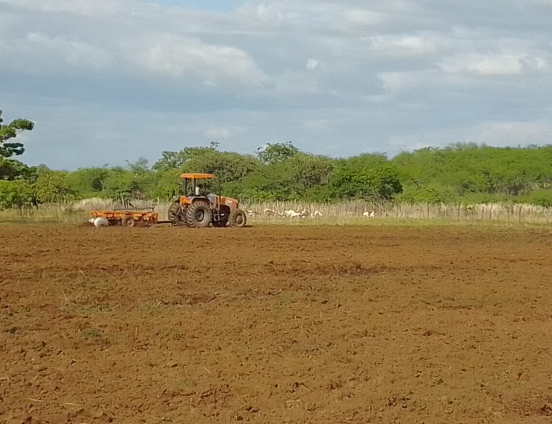 Prefeitura de São José do Bonfim inicia corte de terras e beneficia agricultores