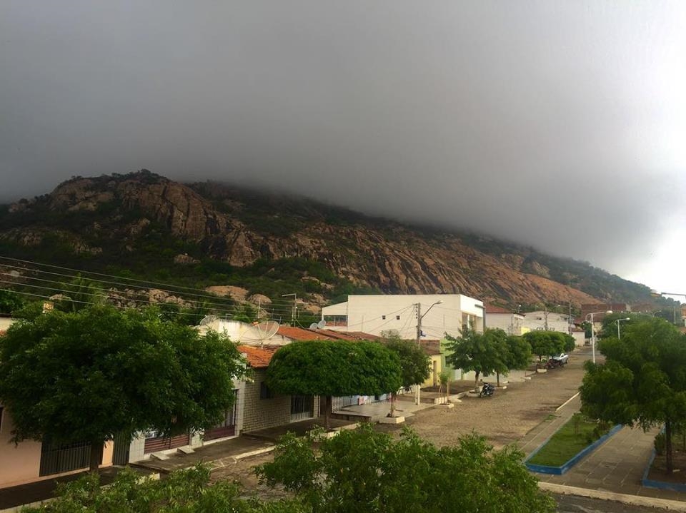 Catingueira ultrapassa os 200 milímetros em janeiro e dispara na liderança das chuvas