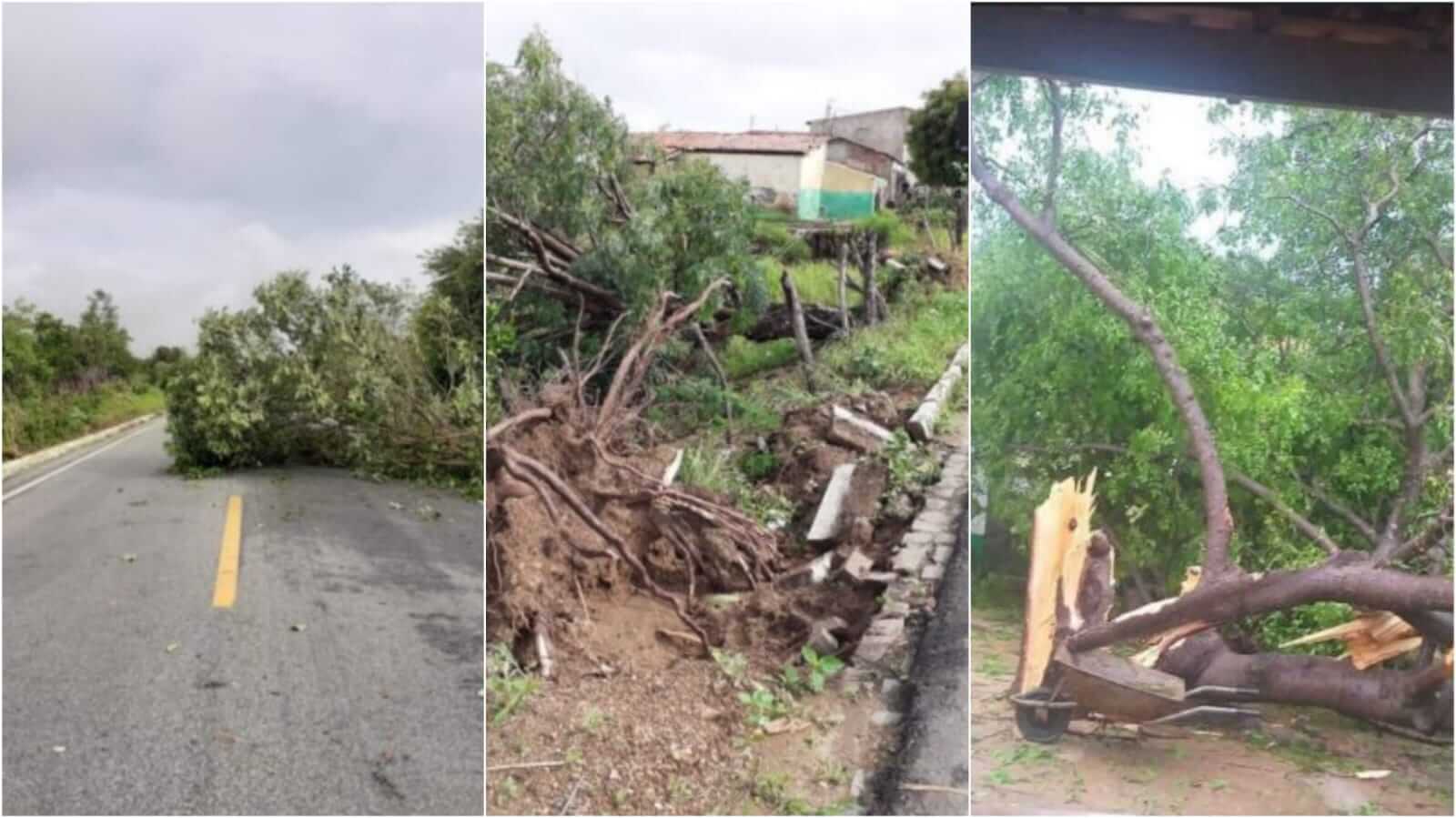 Chuva e ventos fortes causam estragos na cidade de Piancó