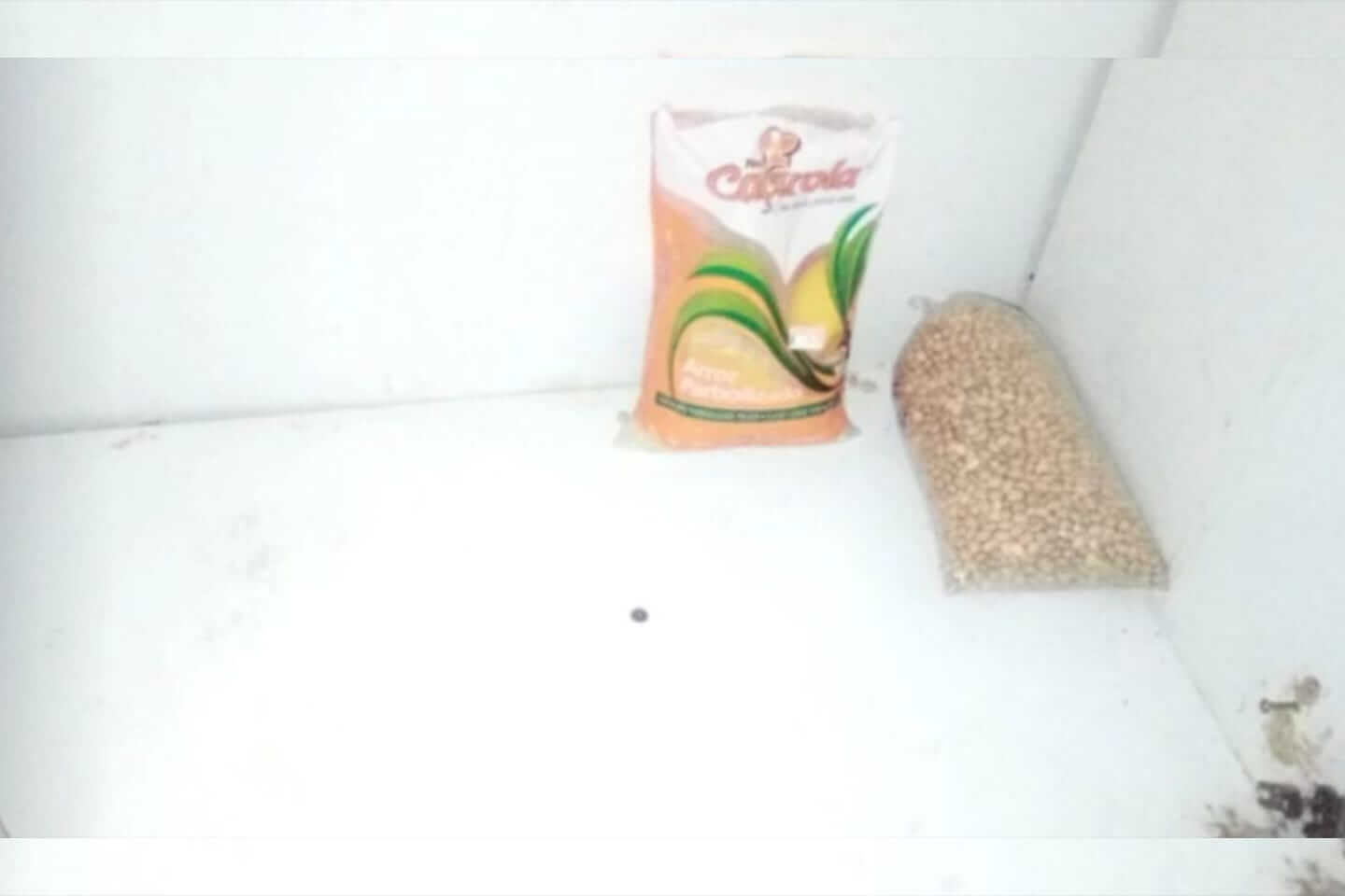 Mulher que está desempregada e sem comida em casa pede ajuda para comprar alimentos, em Patos