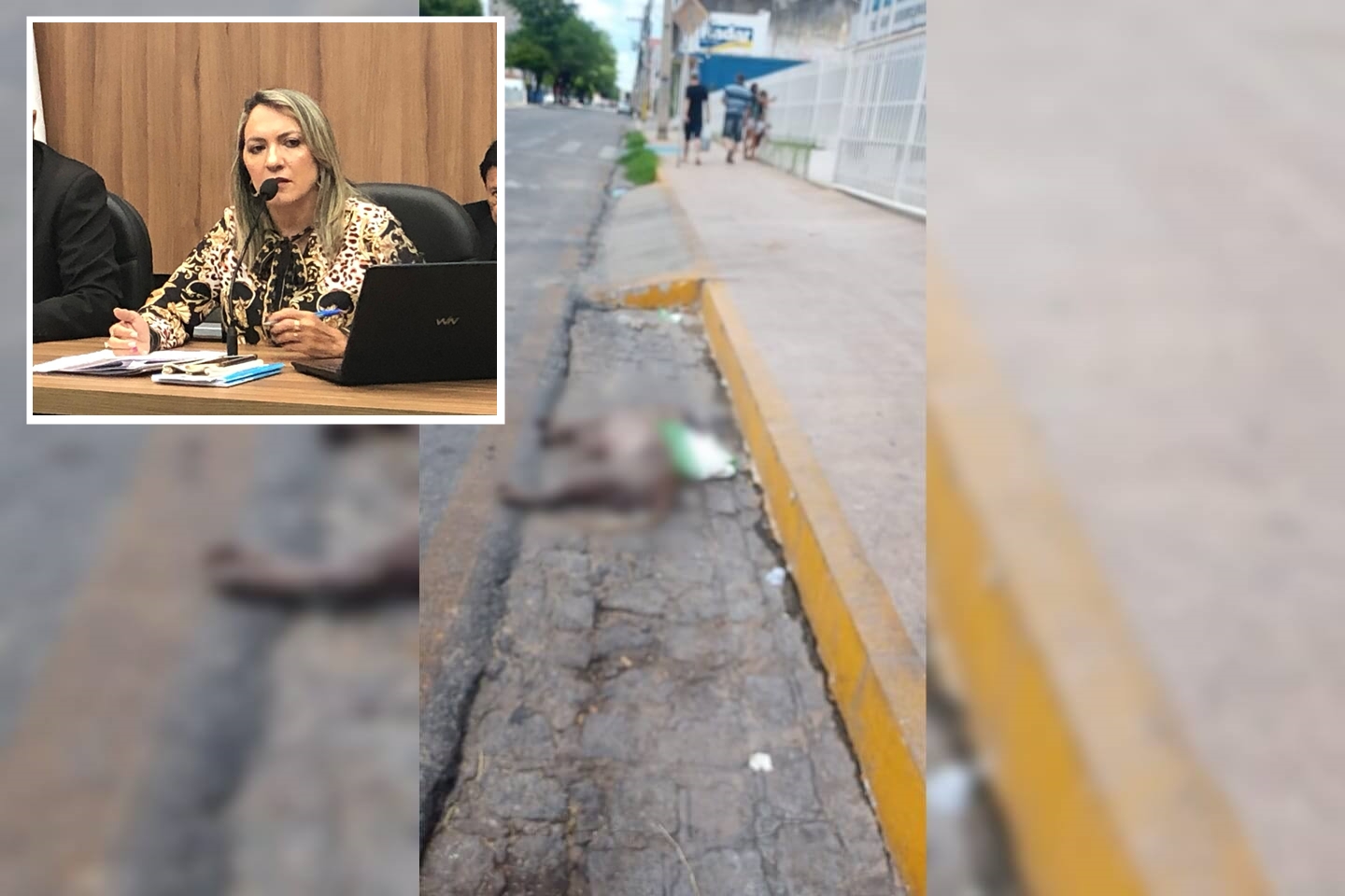 Presidente Tide Eduardo esclarece denúncia sobre cachorro morto na porta da Câmara de Patos; ouça