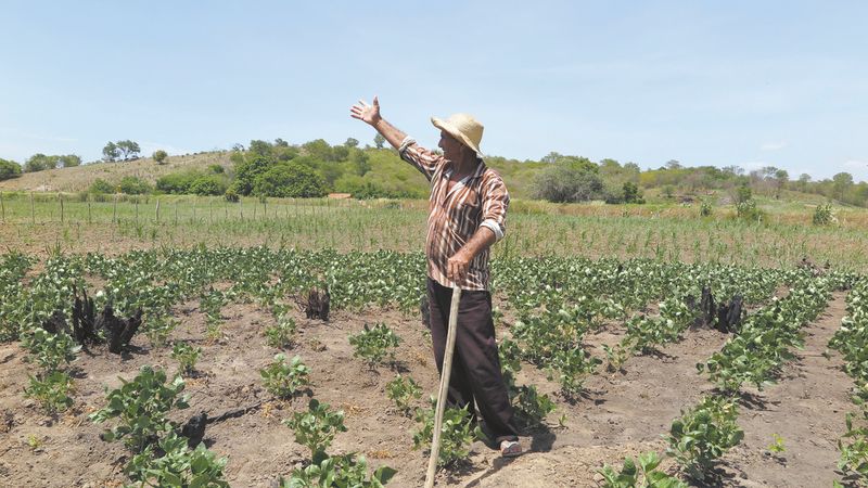 Mesmo com previsões, as chuvas da semana foram poucas, inquietam agricultores, mas não diminuem a esperança de um bom inverno