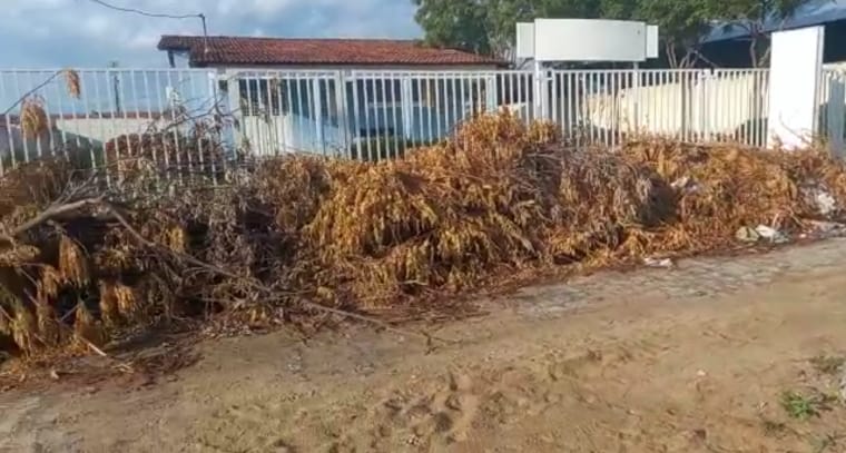 Internauta procura Patosonline e denuncia demora no recolhimento de resto de poda em rua no bairro Alto da Tubiba, em Patos