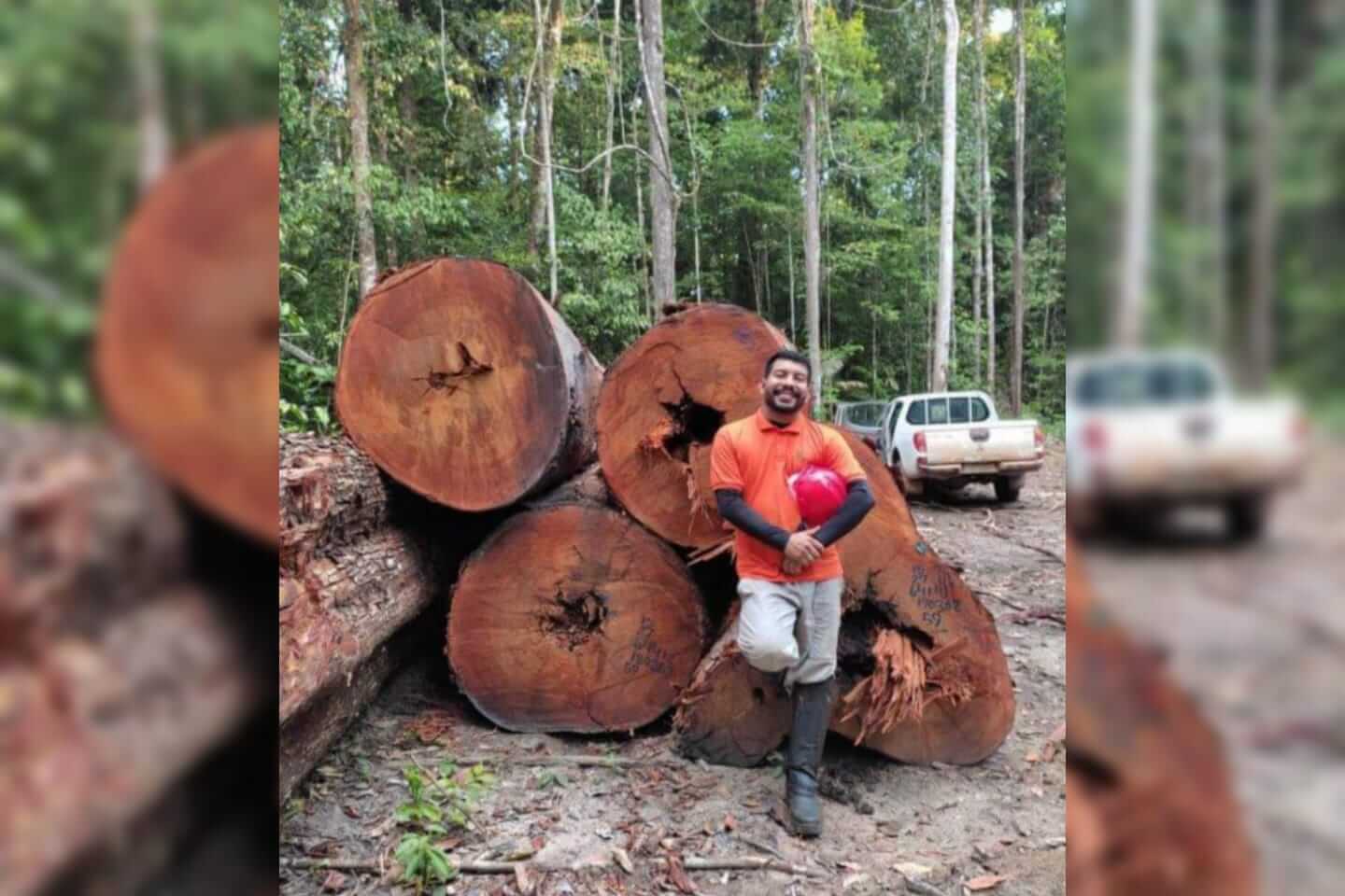 Engenheiro Florestal que está participando de processo seletivo para mestrado na UFCG Patos, busca oportunidade de emprego